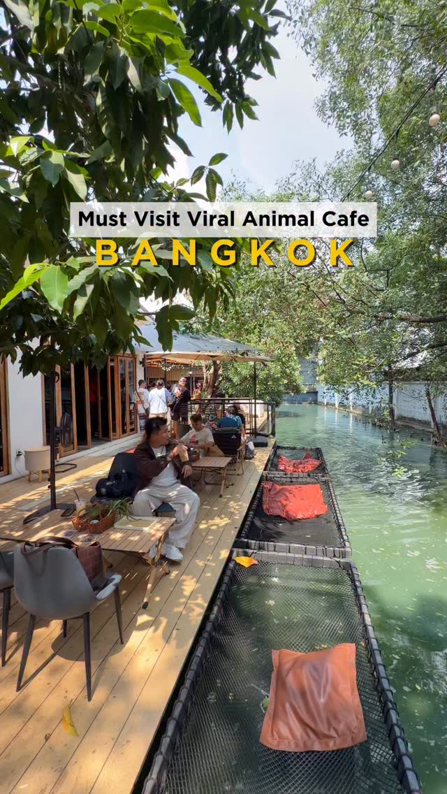 Bangkok Animal Cafe Offers Capybara Encounters