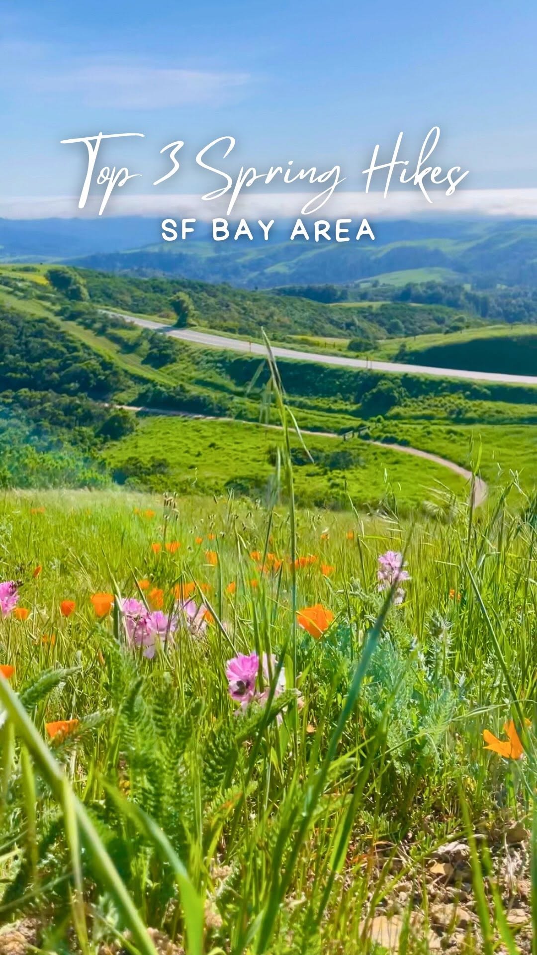 Underrated Bay Area Hikes For Spring Wildflowers