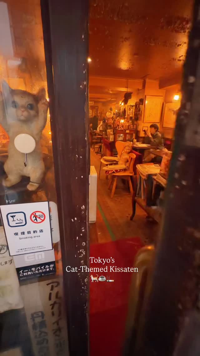 Tokyo's Cat-Themed Cafe Arles
