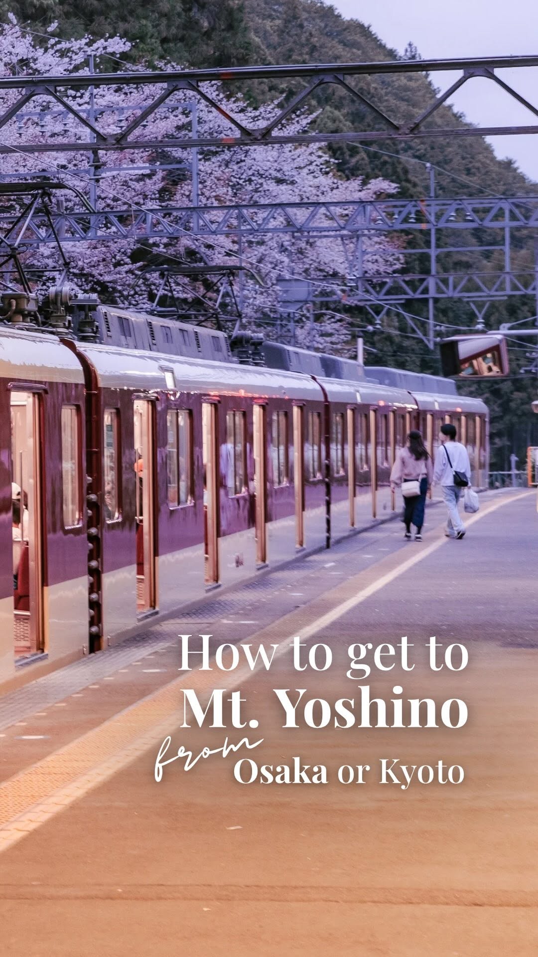 Osaka, Kyoto to Mt. Yoshino Travel Guide