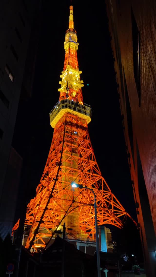 13 Places in Minato City