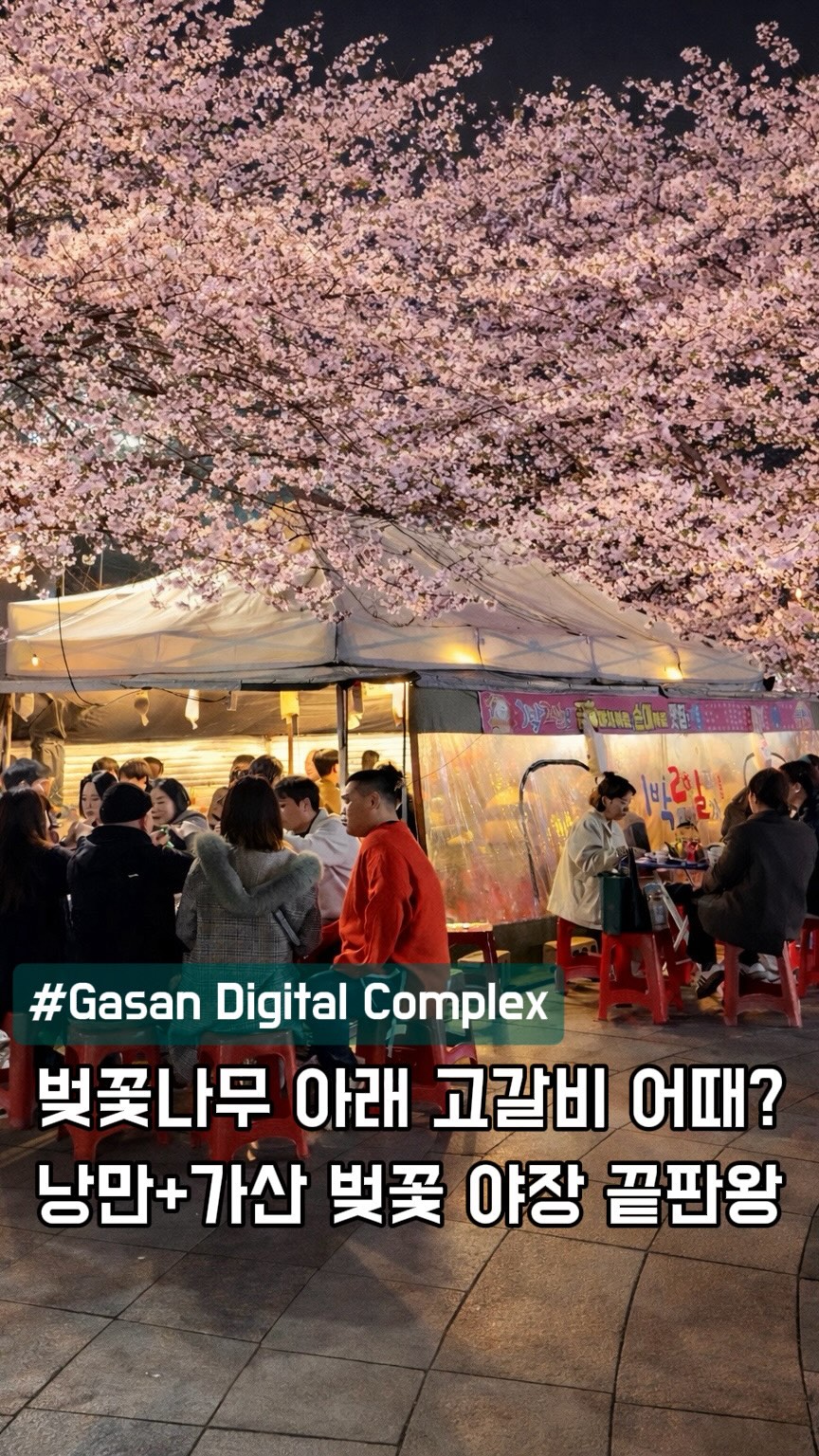 Gasan Digital Complex Cherry Blossom Pocha