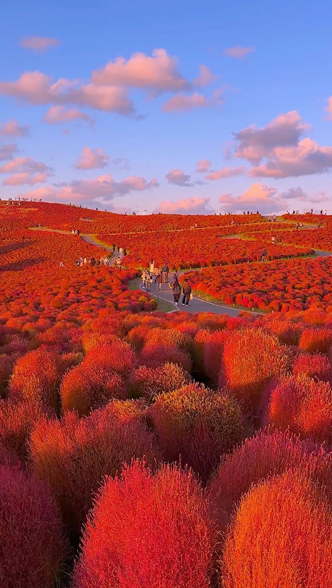 Japan Itinerary Planning Service