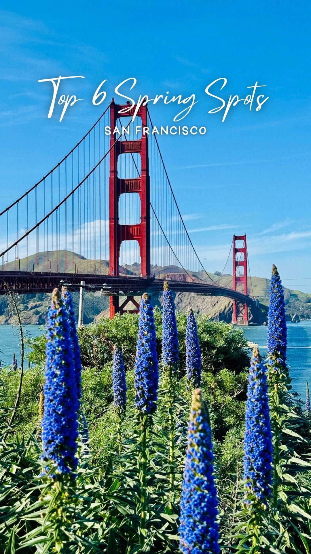 7 Places in San Francisco