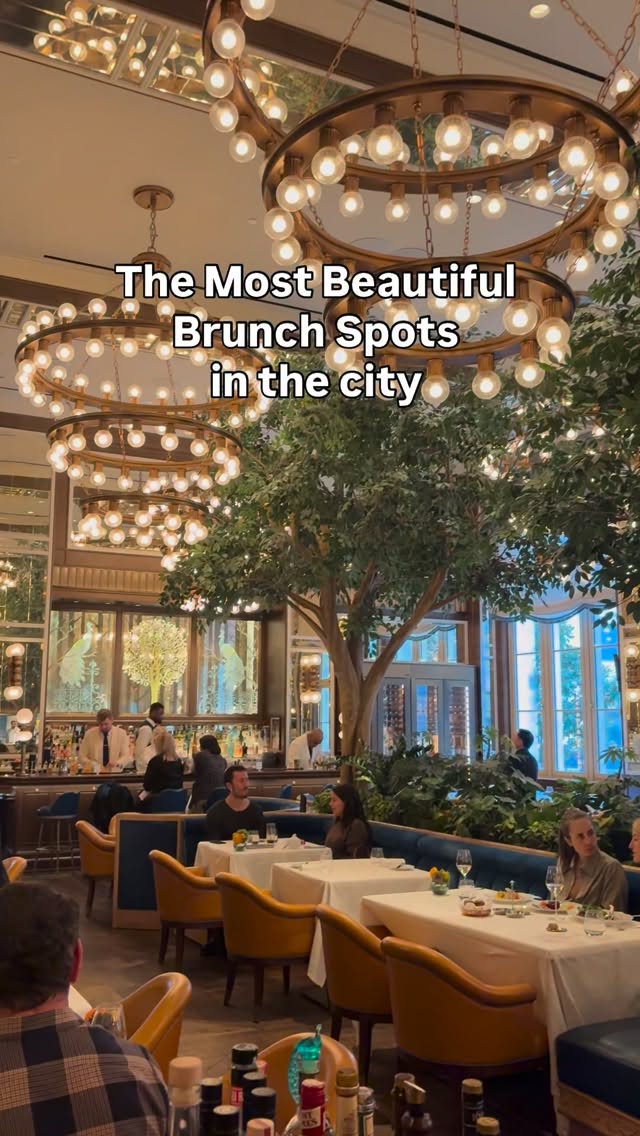 5 Restaurants in New York