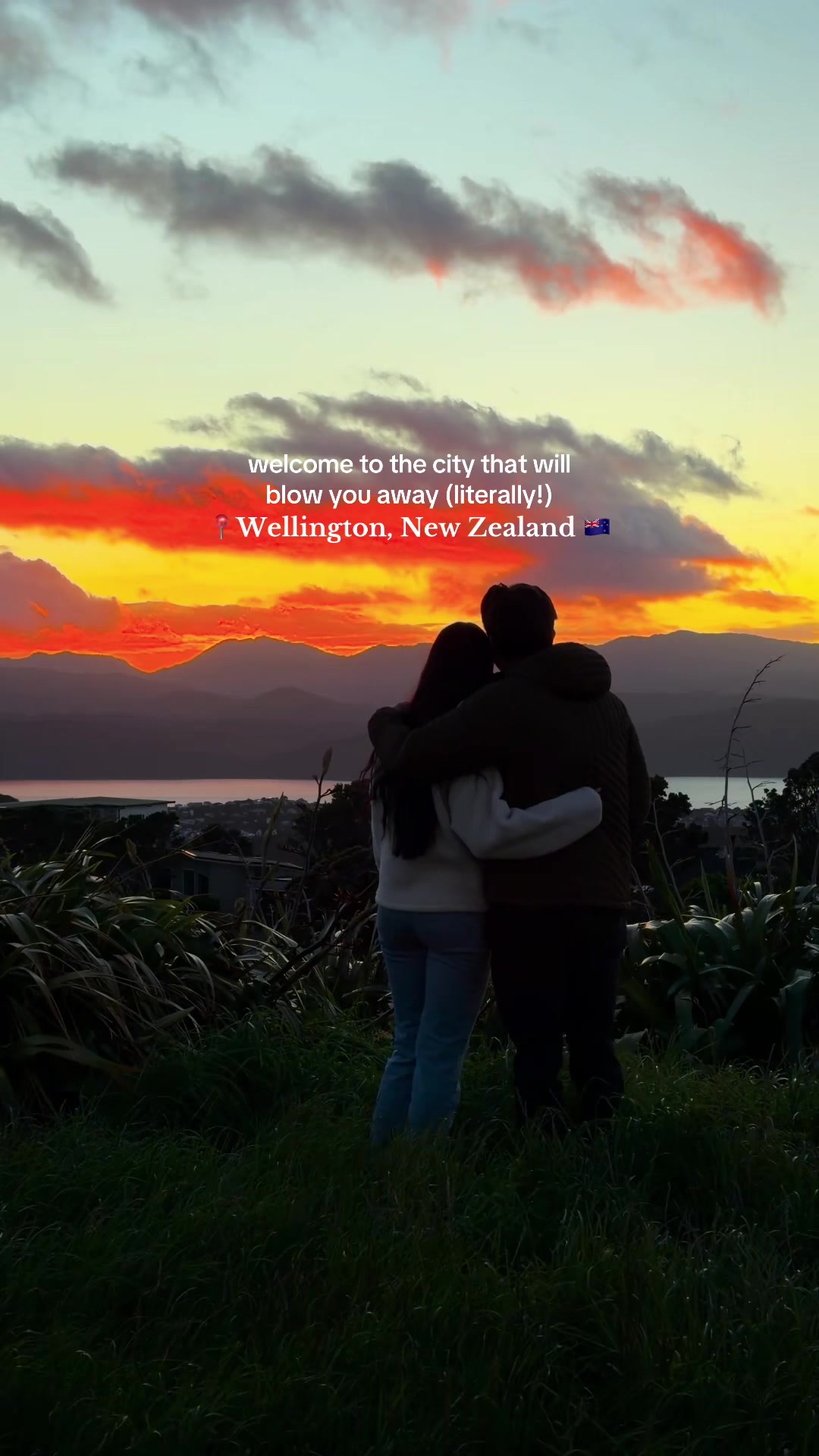 7 Places in Wellington