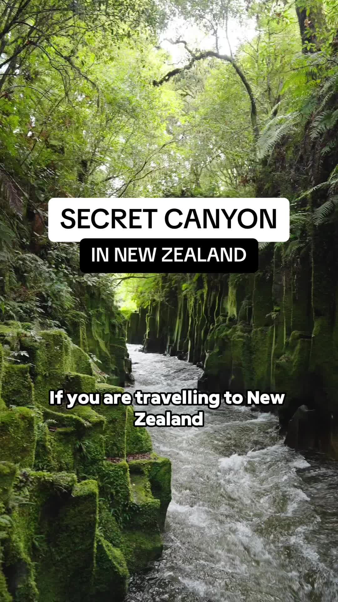 3 Parks in Bay of Plenty Region