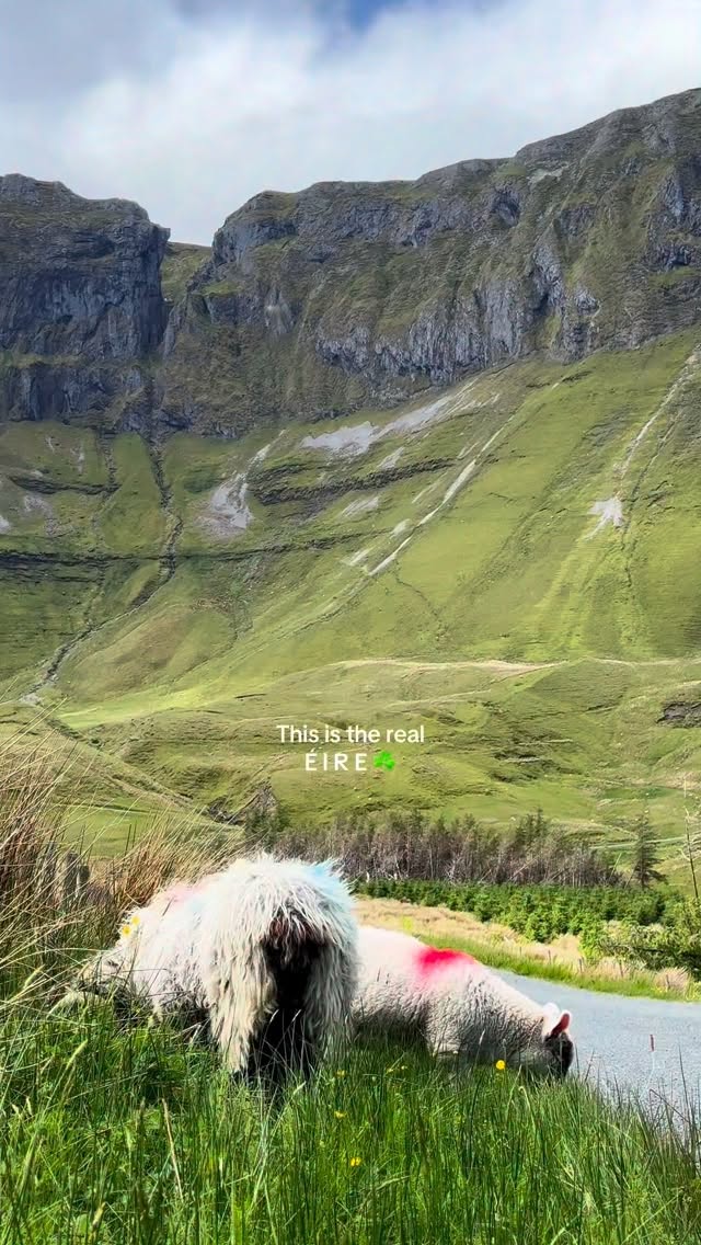 1 Parks in County Sligo