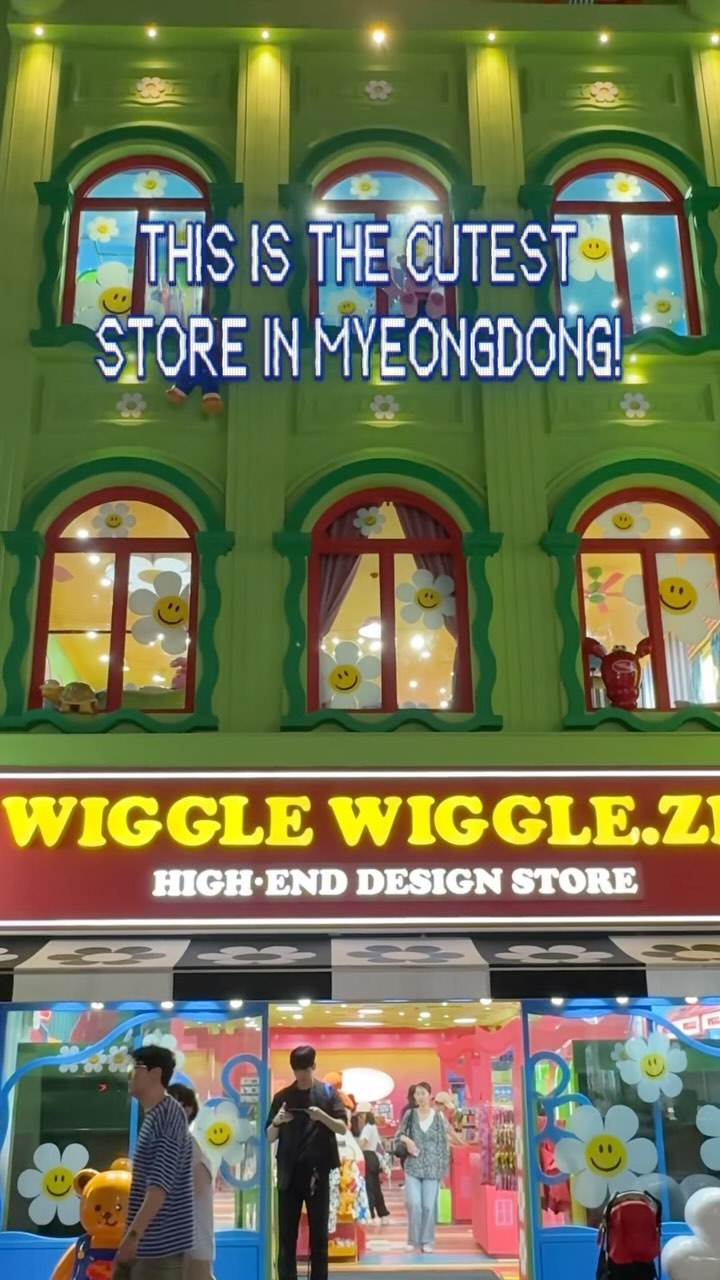 Myeong-dong Shopping District & Wiggle Wiggle