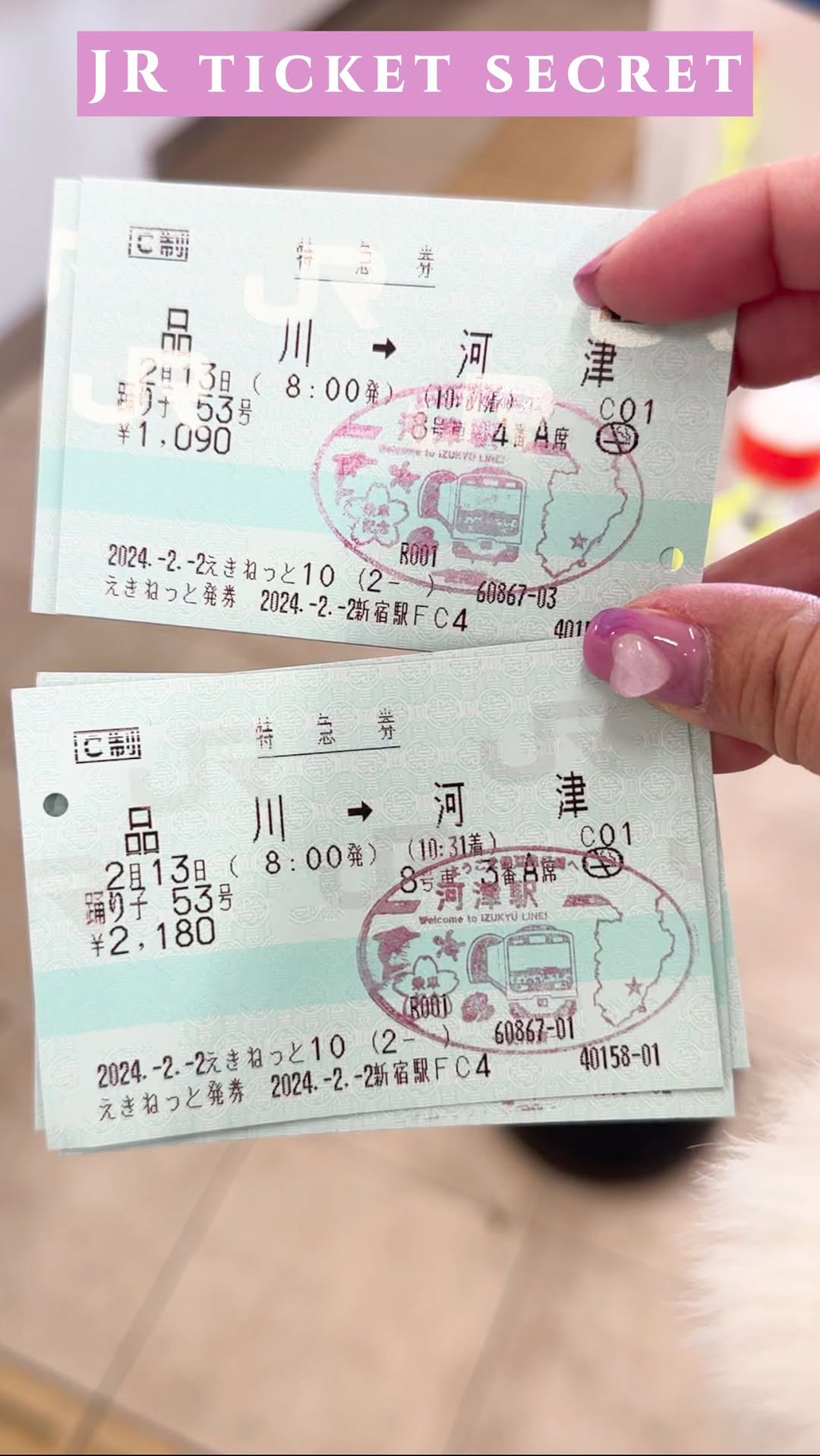Collect JR Station Invalid Stamps Across Japan