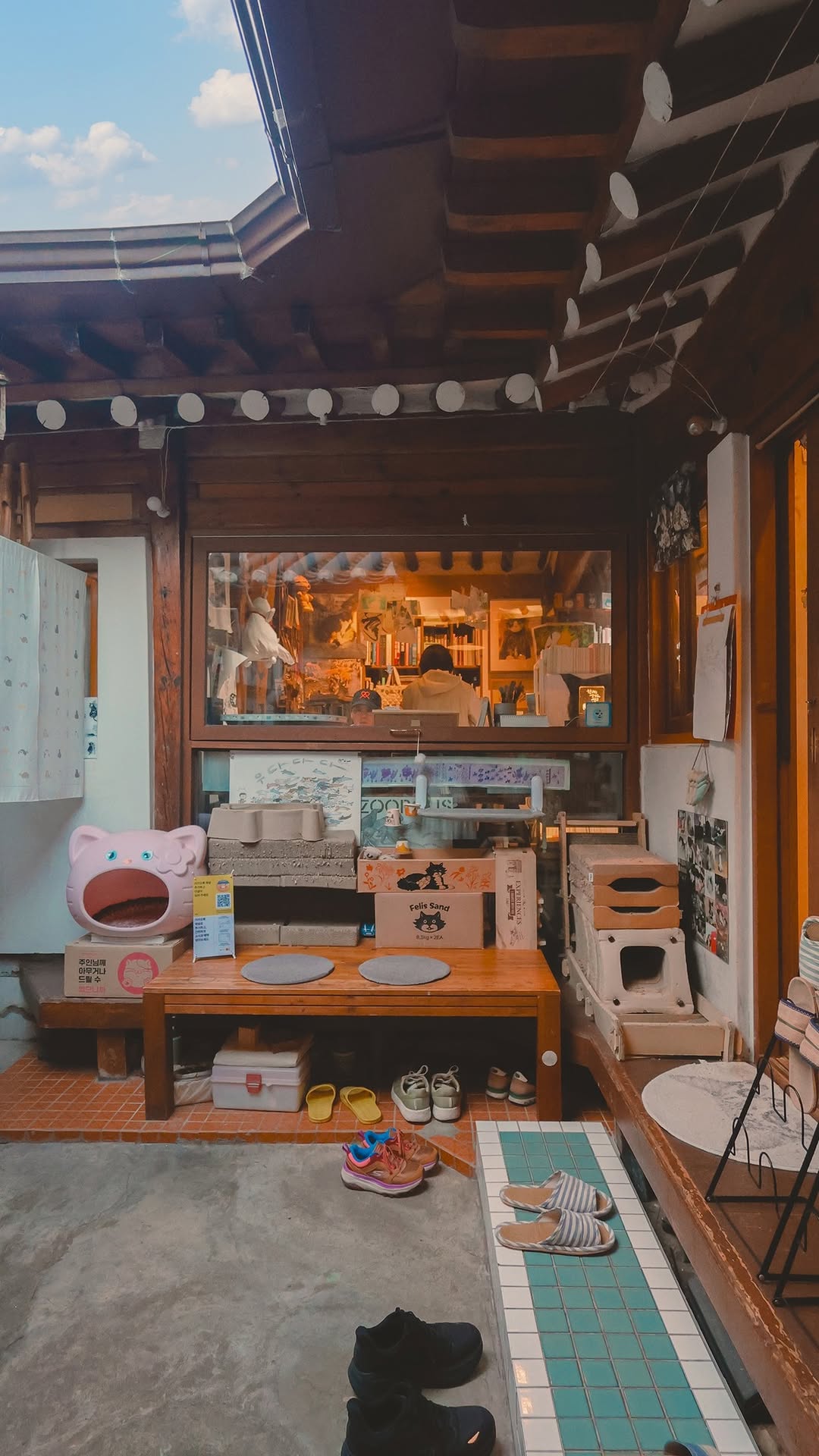 Seoul Cat Cafe Bookstore Offers Purrfect Escape