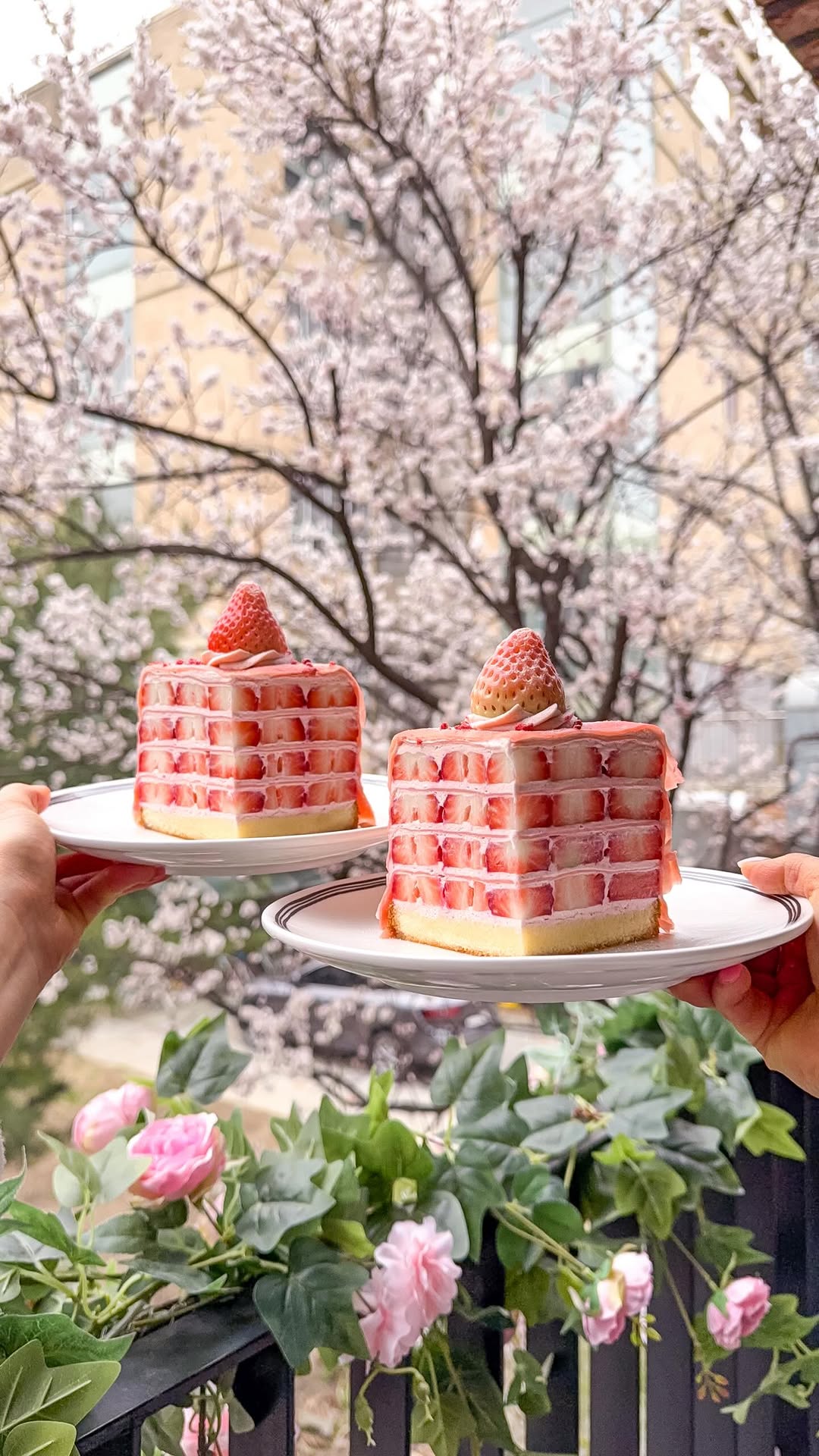Seongsu Cafe Rafre Fruit Cherry Blossom Strawberry Cake