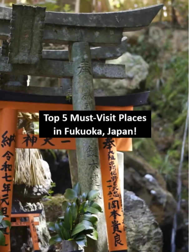 Top Fukuoka Attractions for Your Next Trip