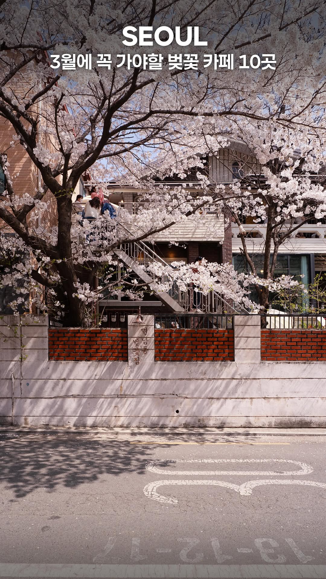Nine Seoul Cafes Perfect For Springtime Visits