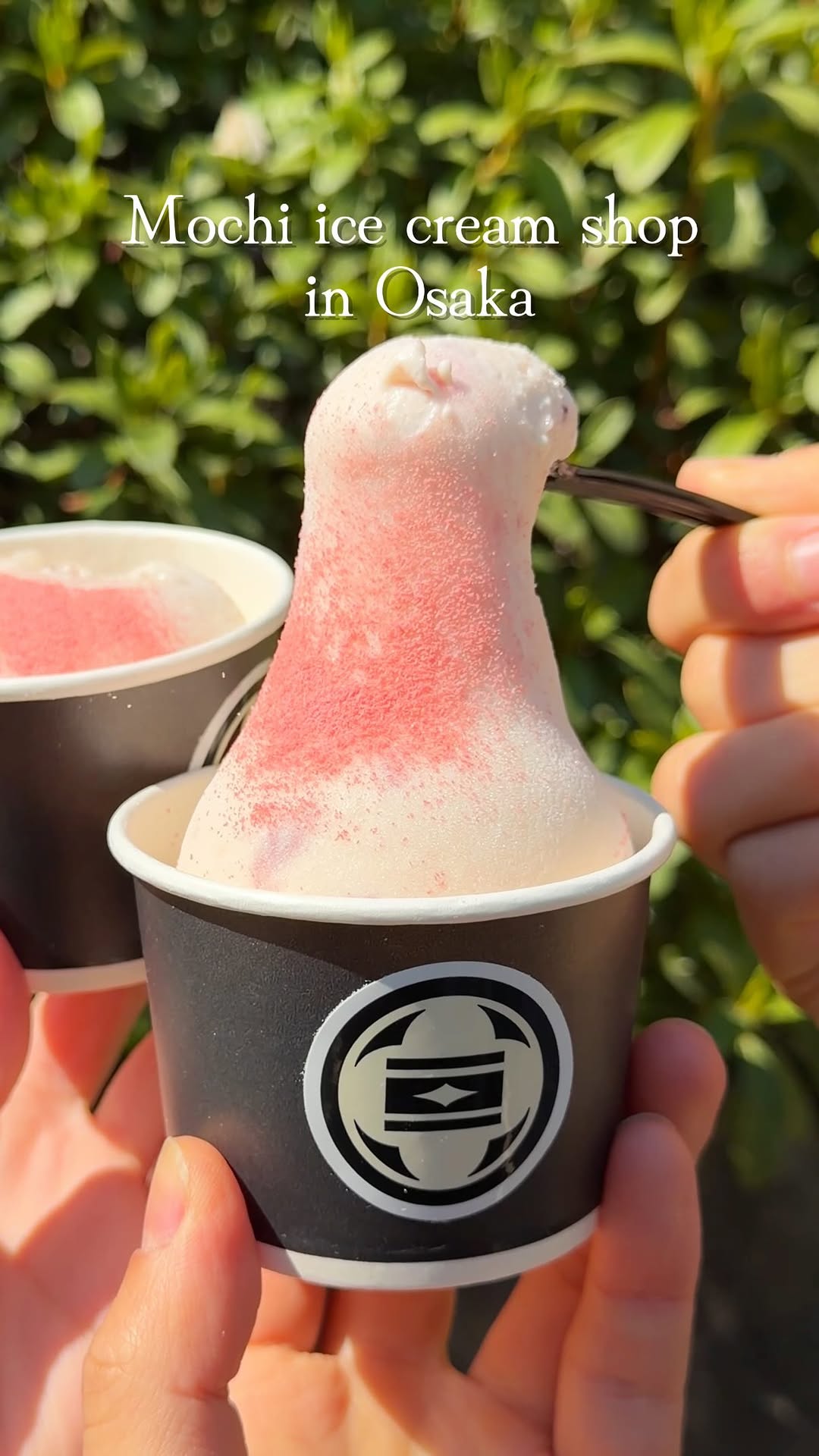 Osaka Tenmangu Area: Mochi Ice Cream Delights