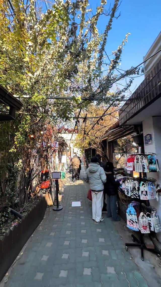 Historic Korean and Parisian Cultural Hubs