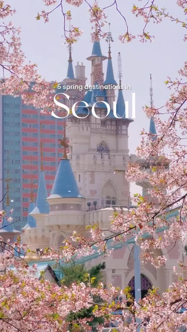 Best Spring Spots in Seoul, South Korea