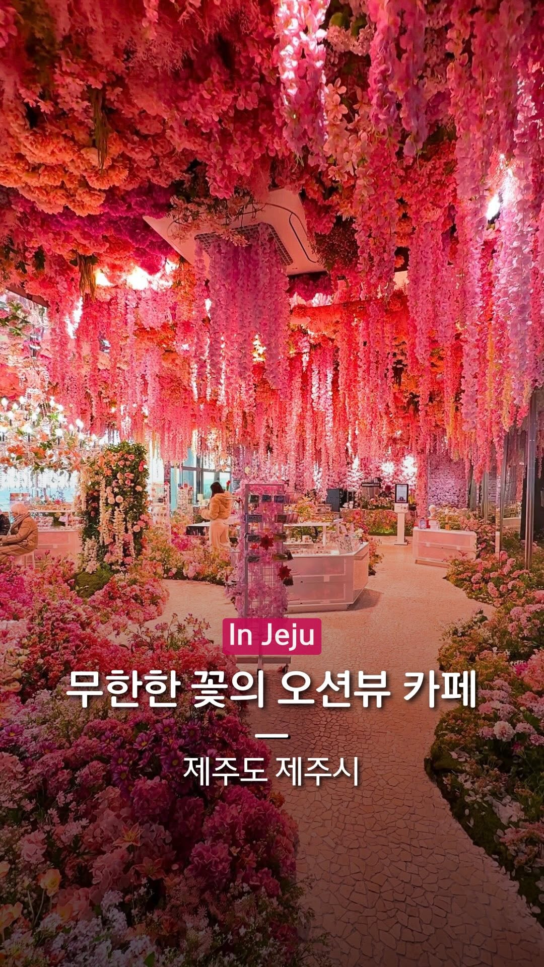 1 Cafes in Cheju