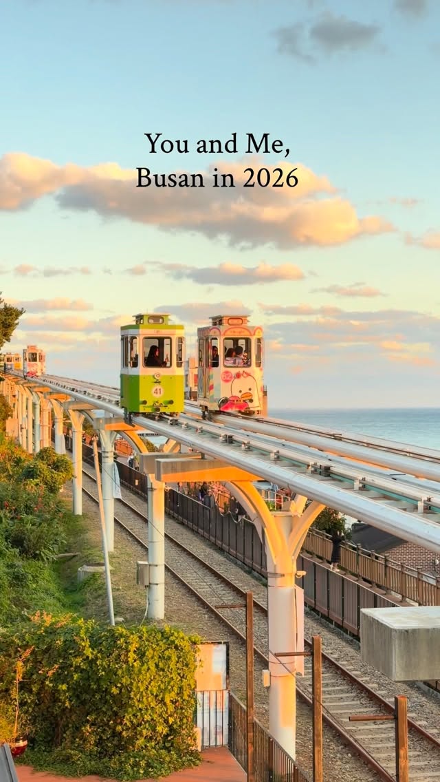 Busan's Best Beaches