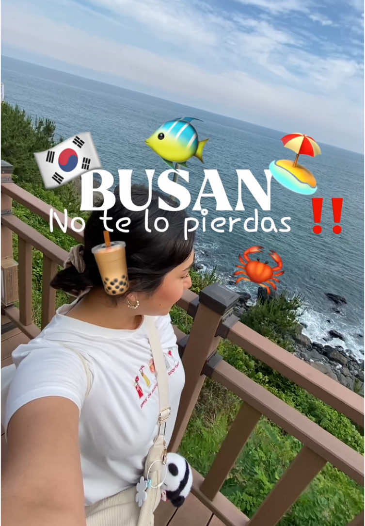 7 Attractions in Busan