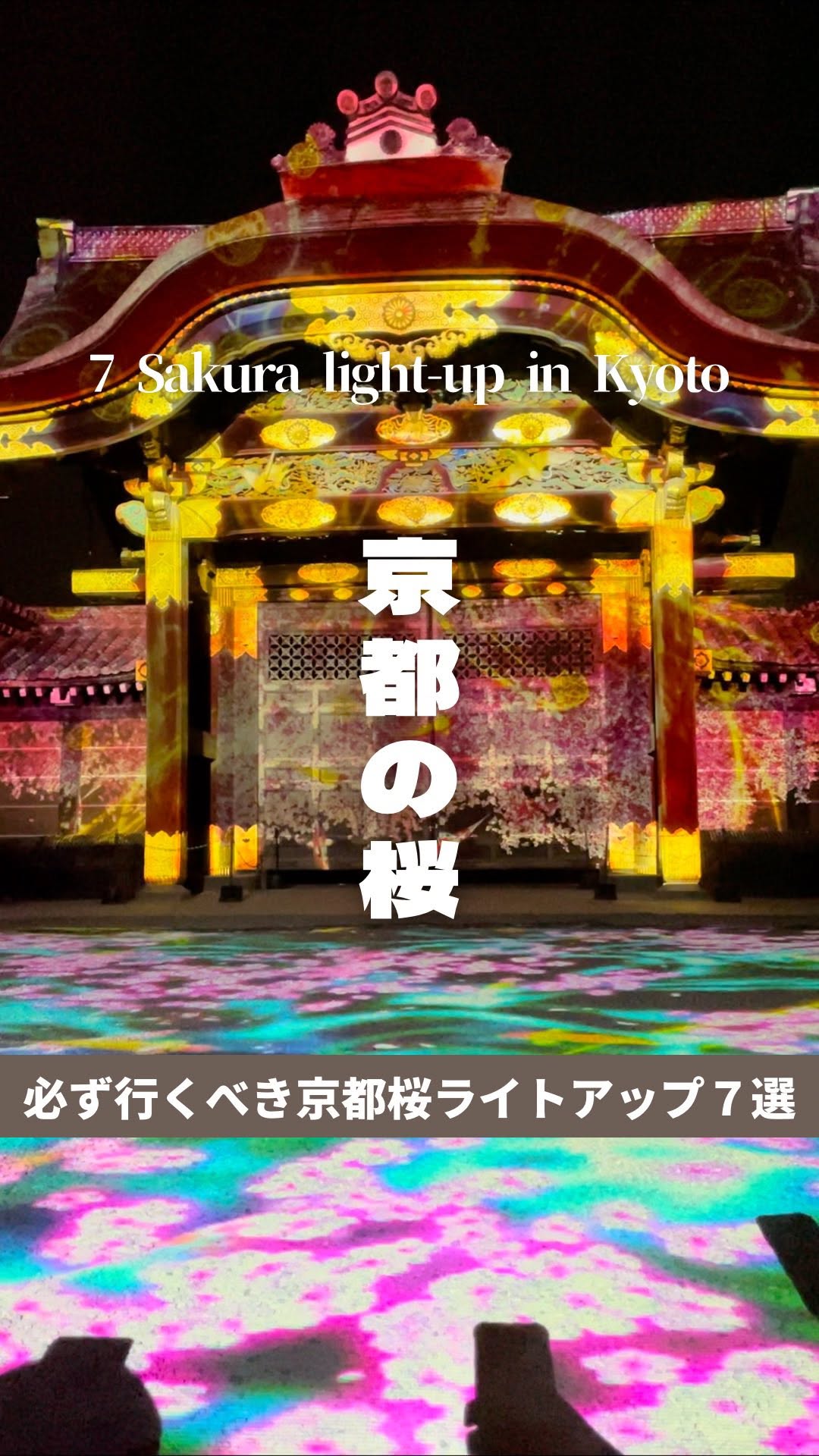 Kyoto's Best Cherry Blossom Light-Up Destinations