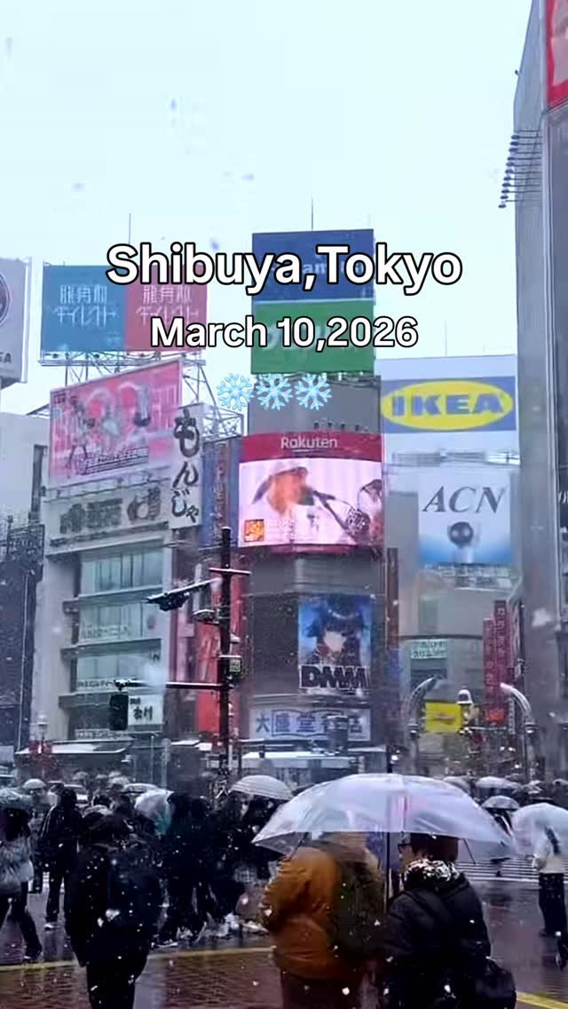 Shibuya's Winter Snowfall in Tokyo