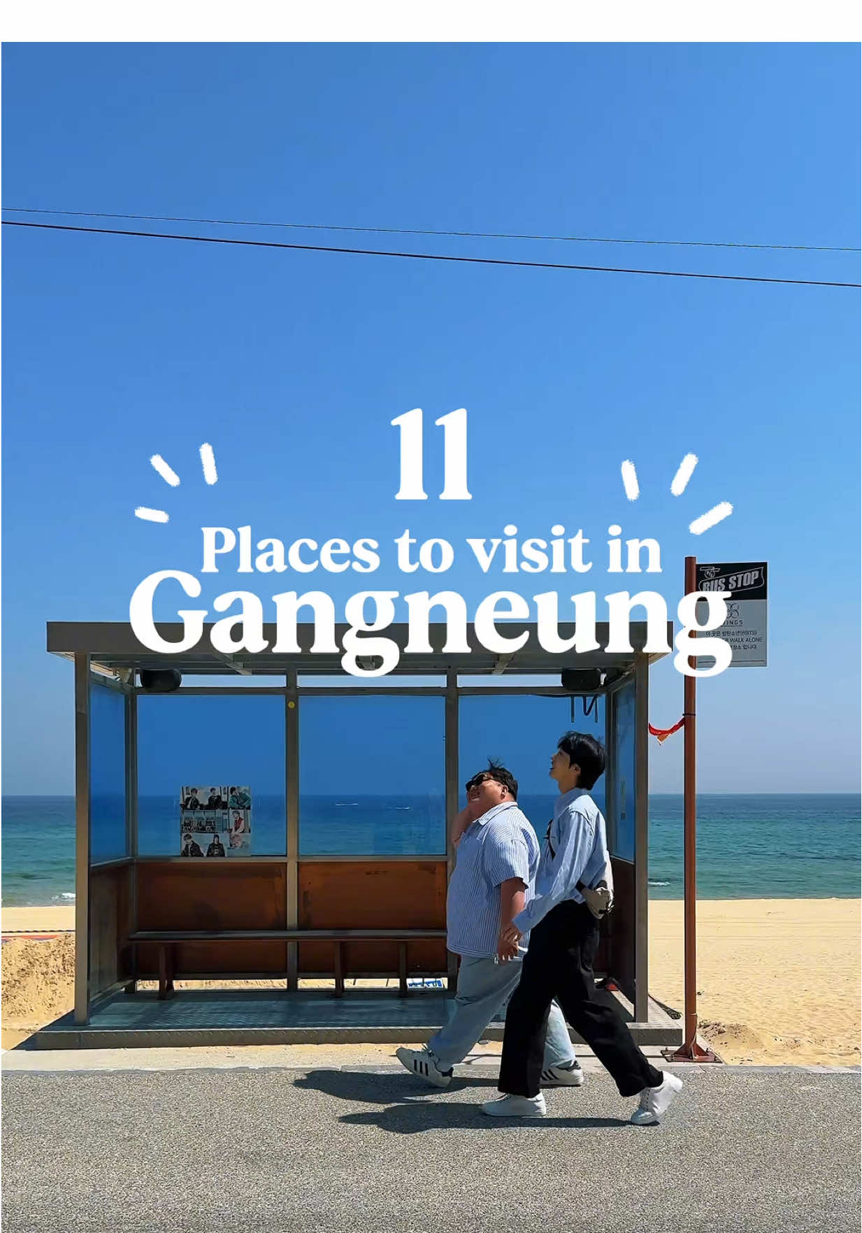 Gangneung's Top 11 Attractions With MOVV