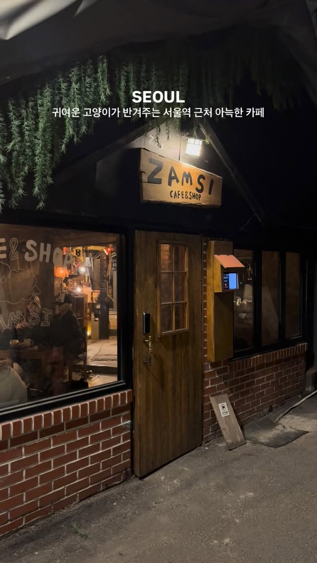 Seoul Station Area Cat Cafes