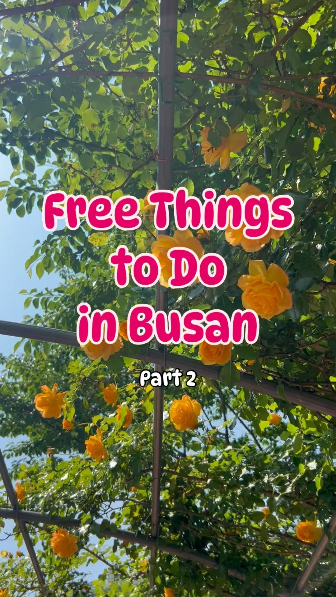 10 Parks in Busan