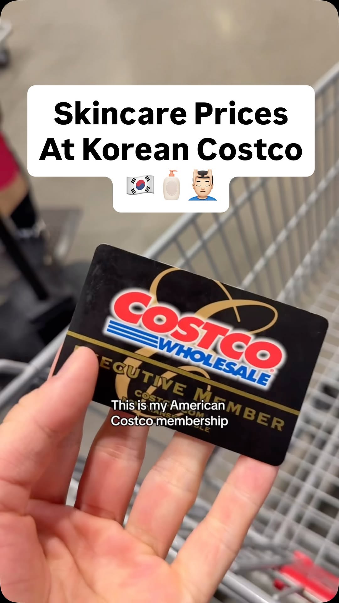 Costco Songdo and Skinfood Retailers
