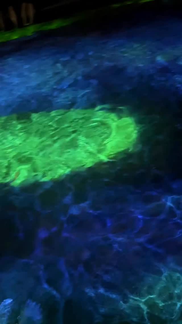 Cheonggyecheon Stream Features Dreamy Media Art Show