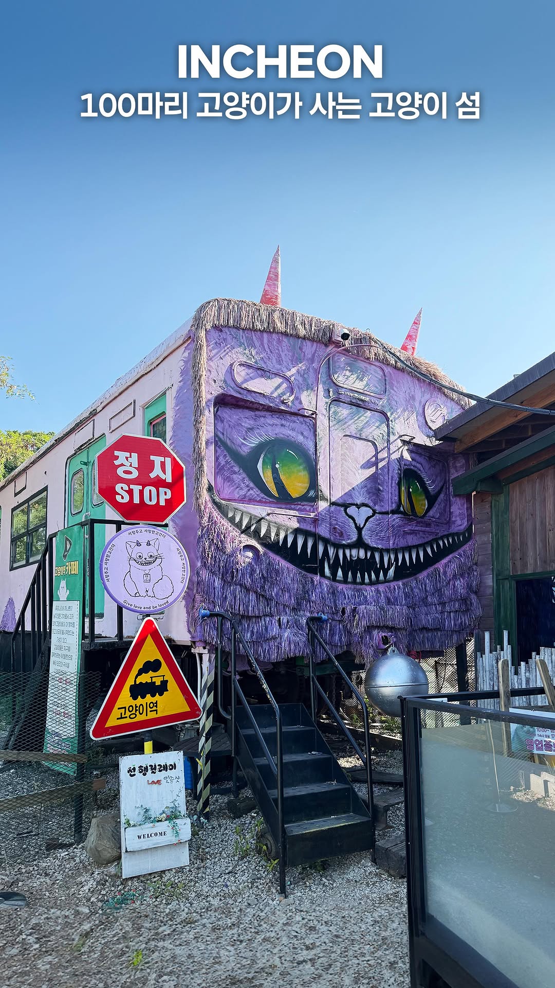 World's Only Cat Station Offers Sanctuary and Connection