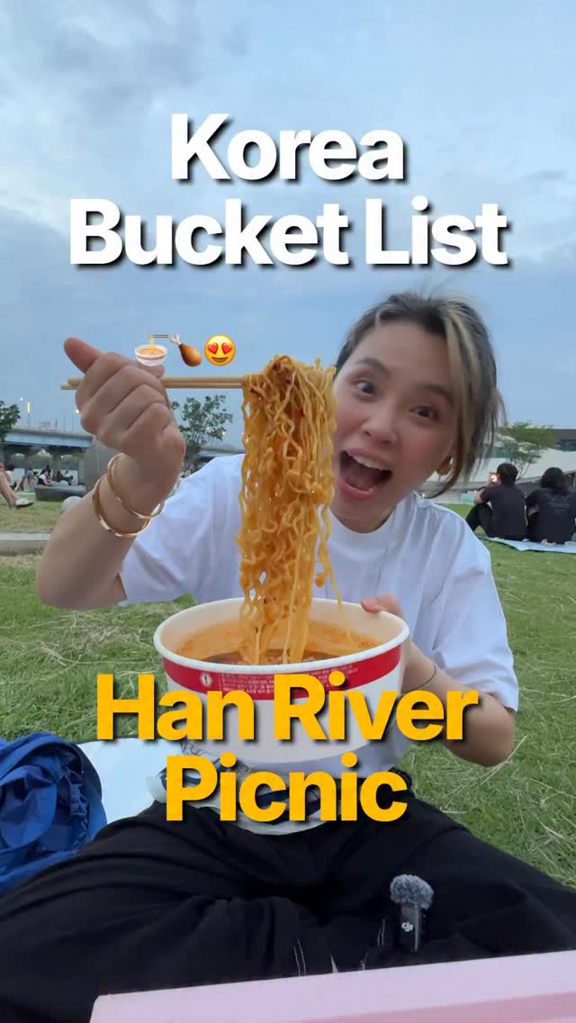 Han River Park Picnic With Chicken Delivery