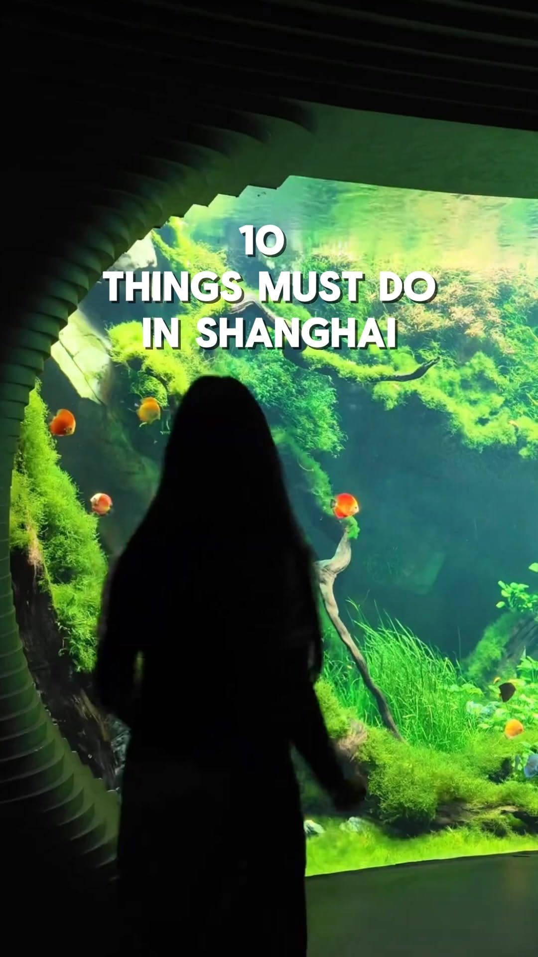 6 Attractions in Shang Hai Shi