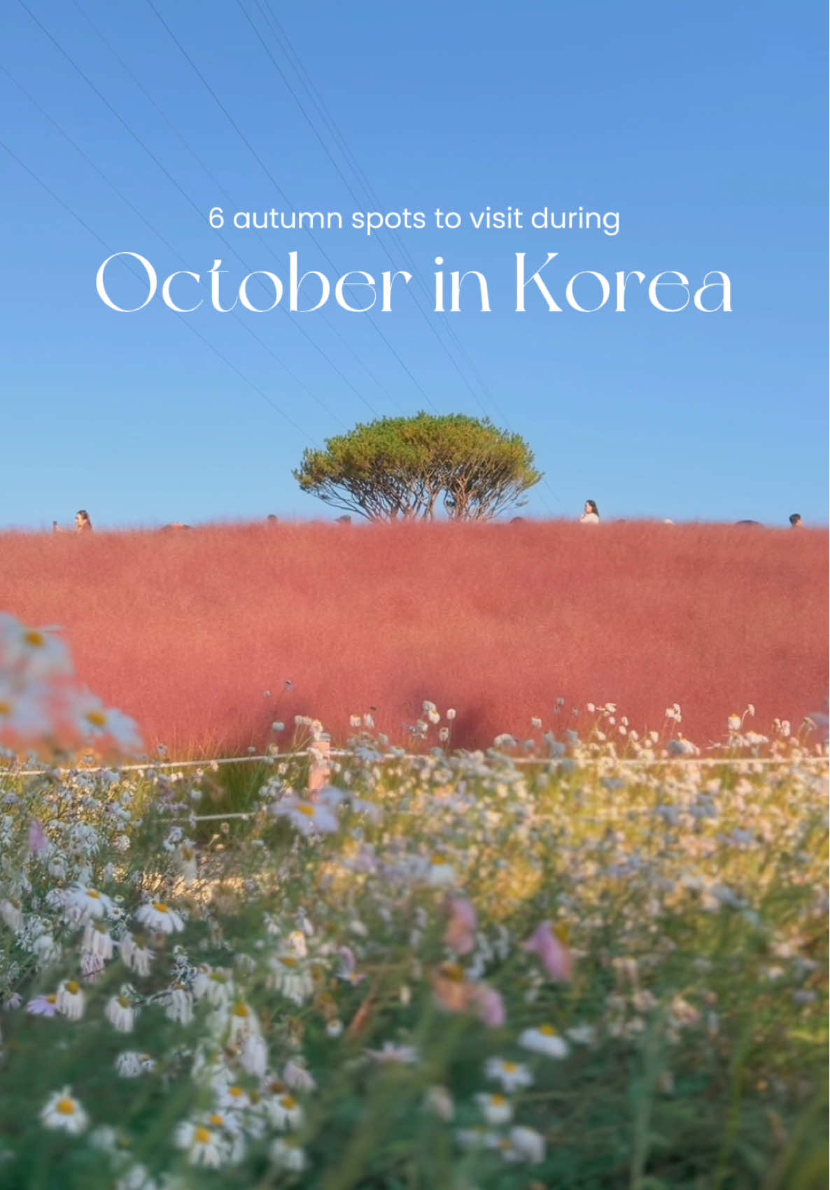 6 Attractions in South Korea