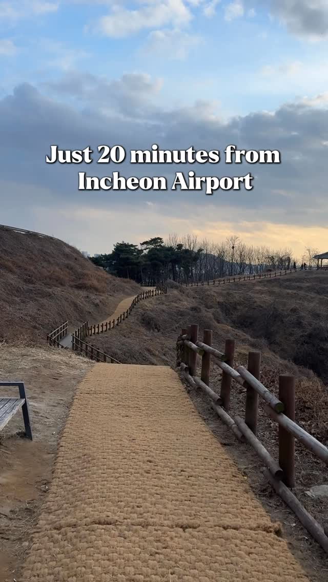 Dog-Friendly Coastal Trail Near Seoul