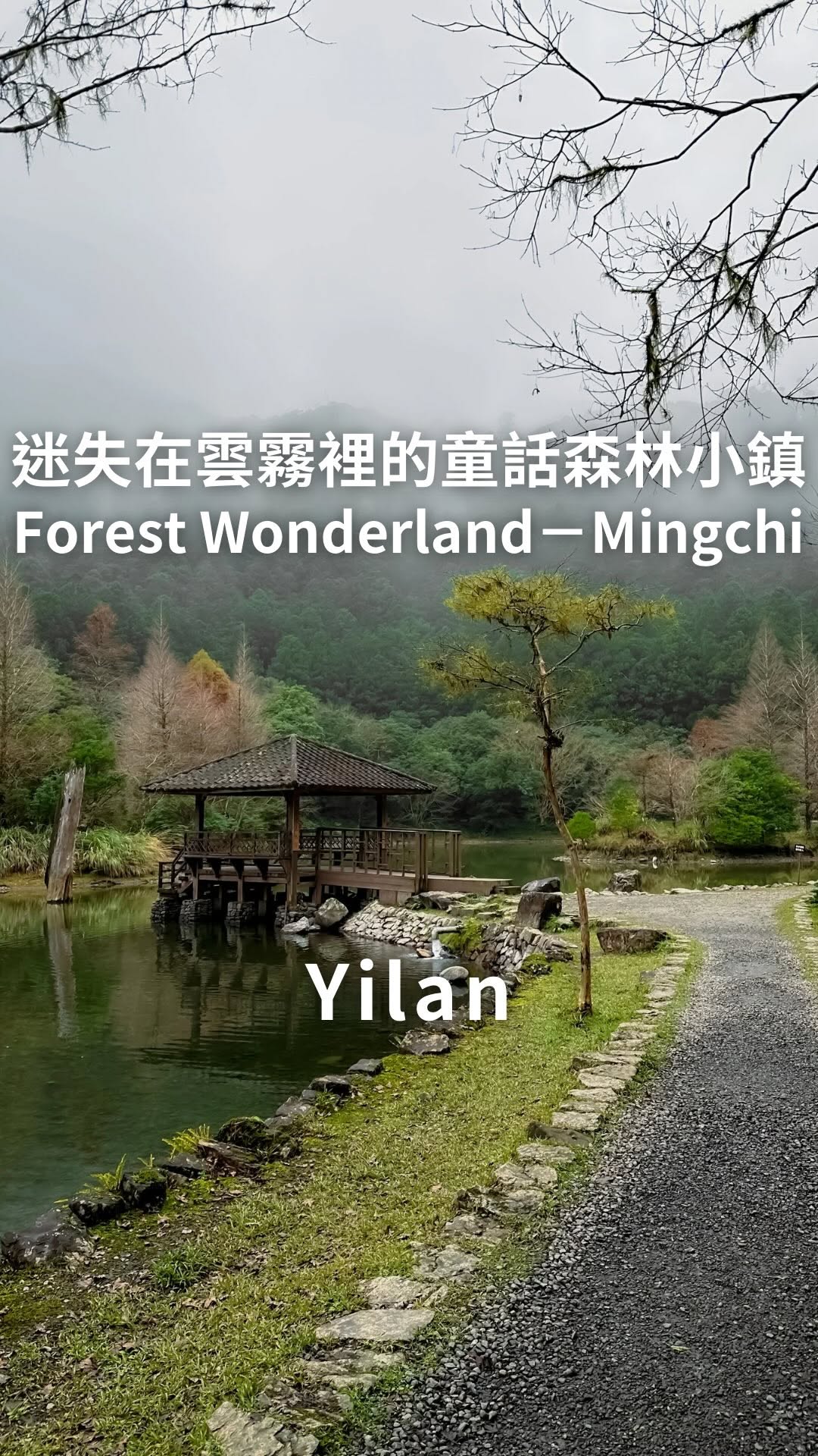 Forest Wonderland in Taiwan's Misty Mountains