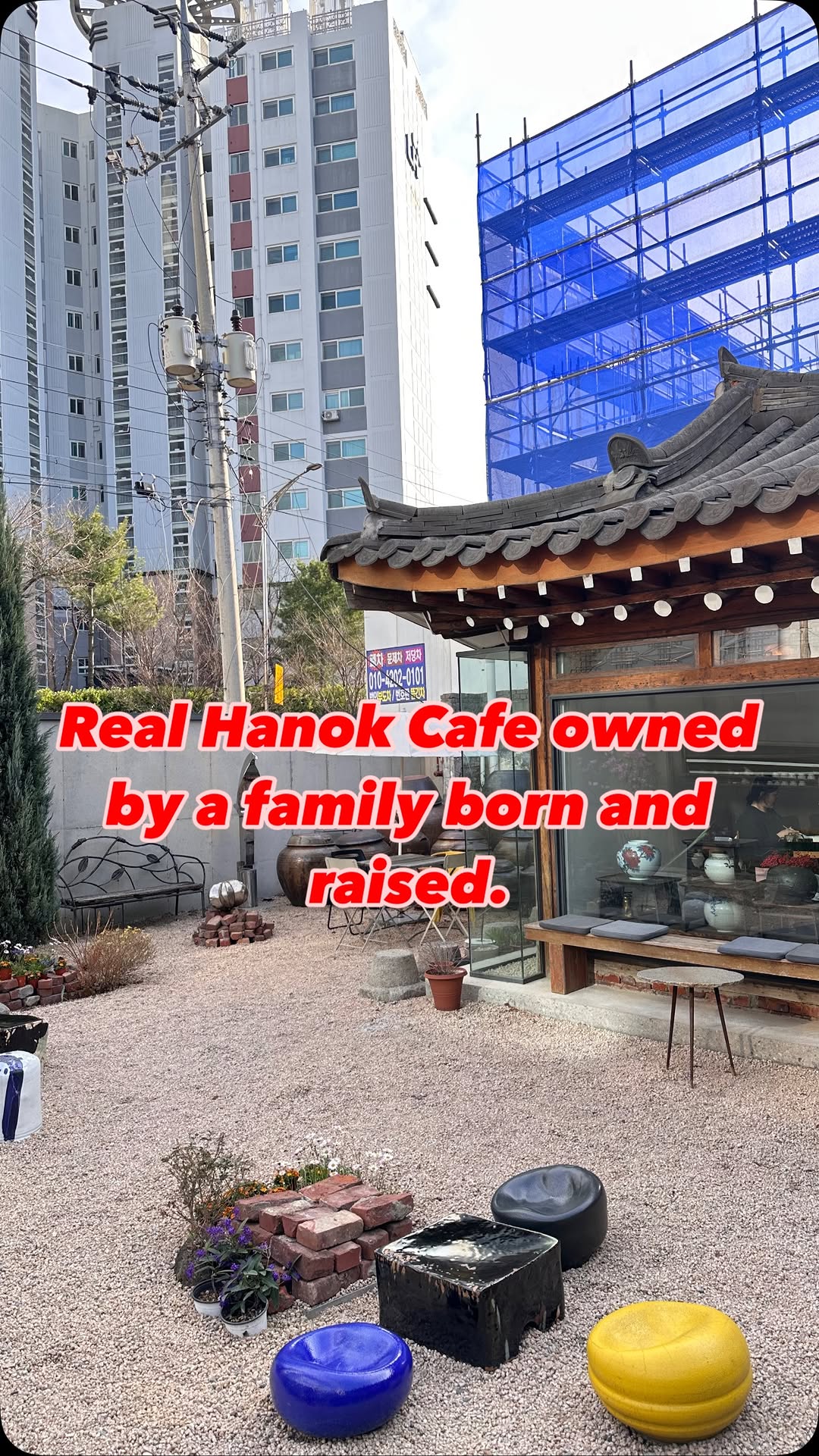 Seoul's Hidden Gems Beyond the Tourist Trail
