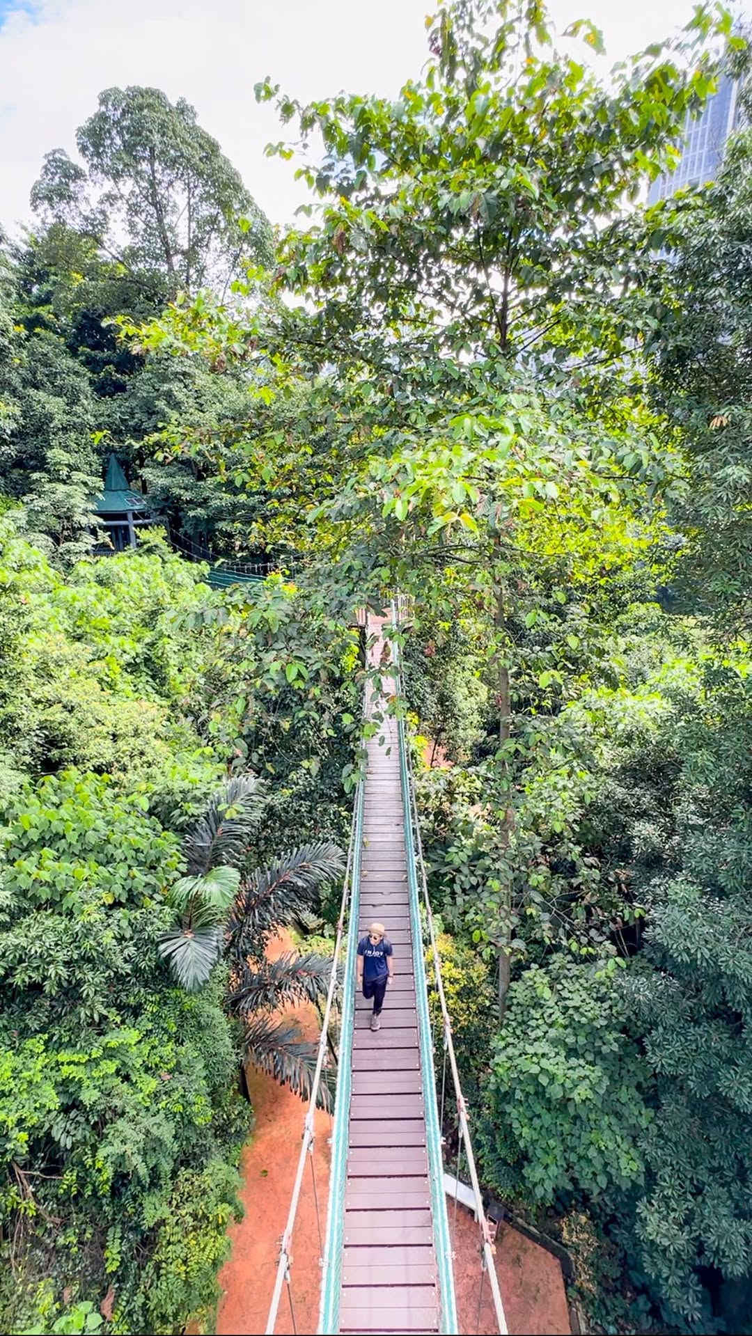 Kuala Lumpur's Urban Jungle Hiking Spots