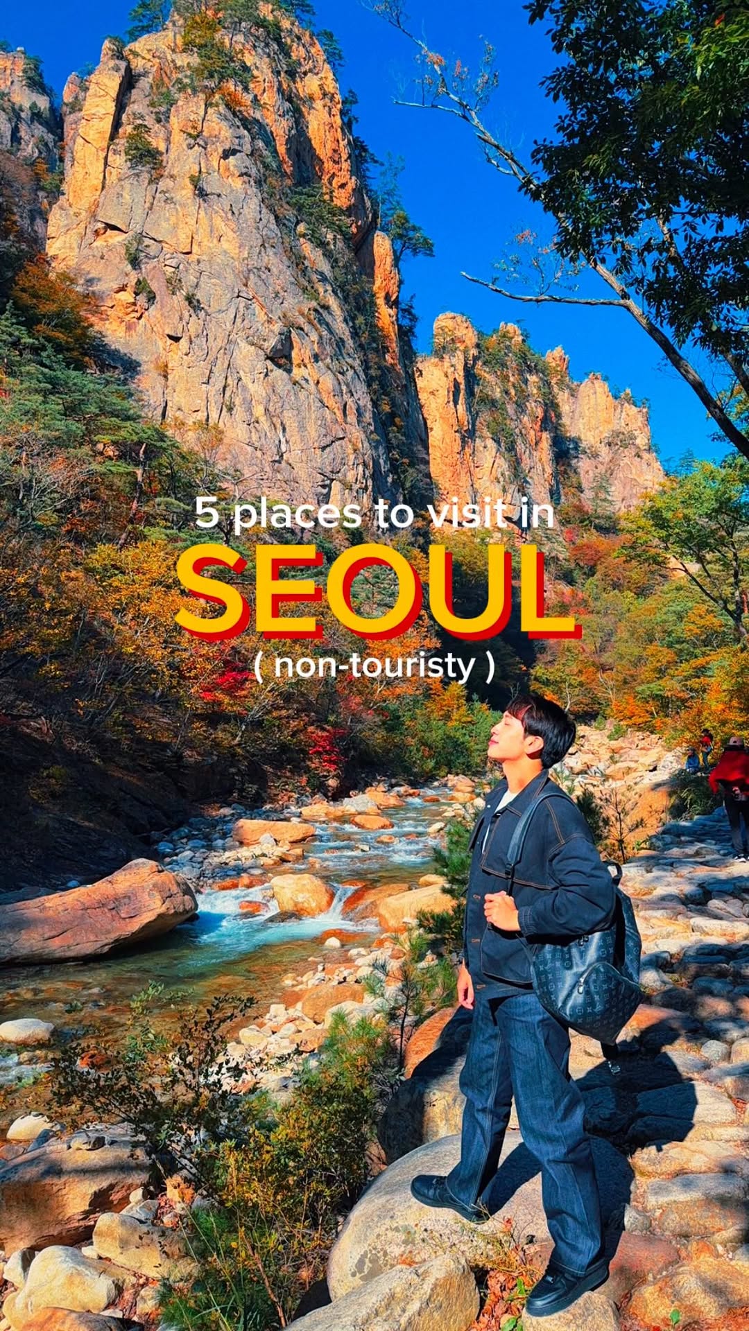 Explore Seoul's Hidden Gems And Natural Beauty