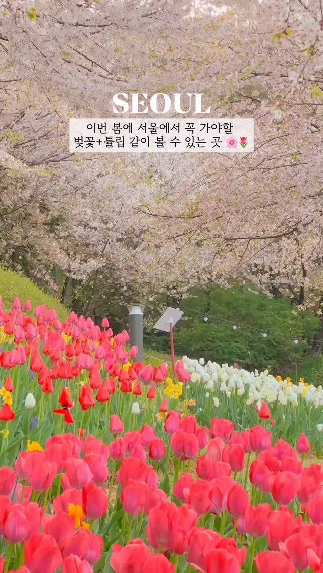 5 Places in Seoul