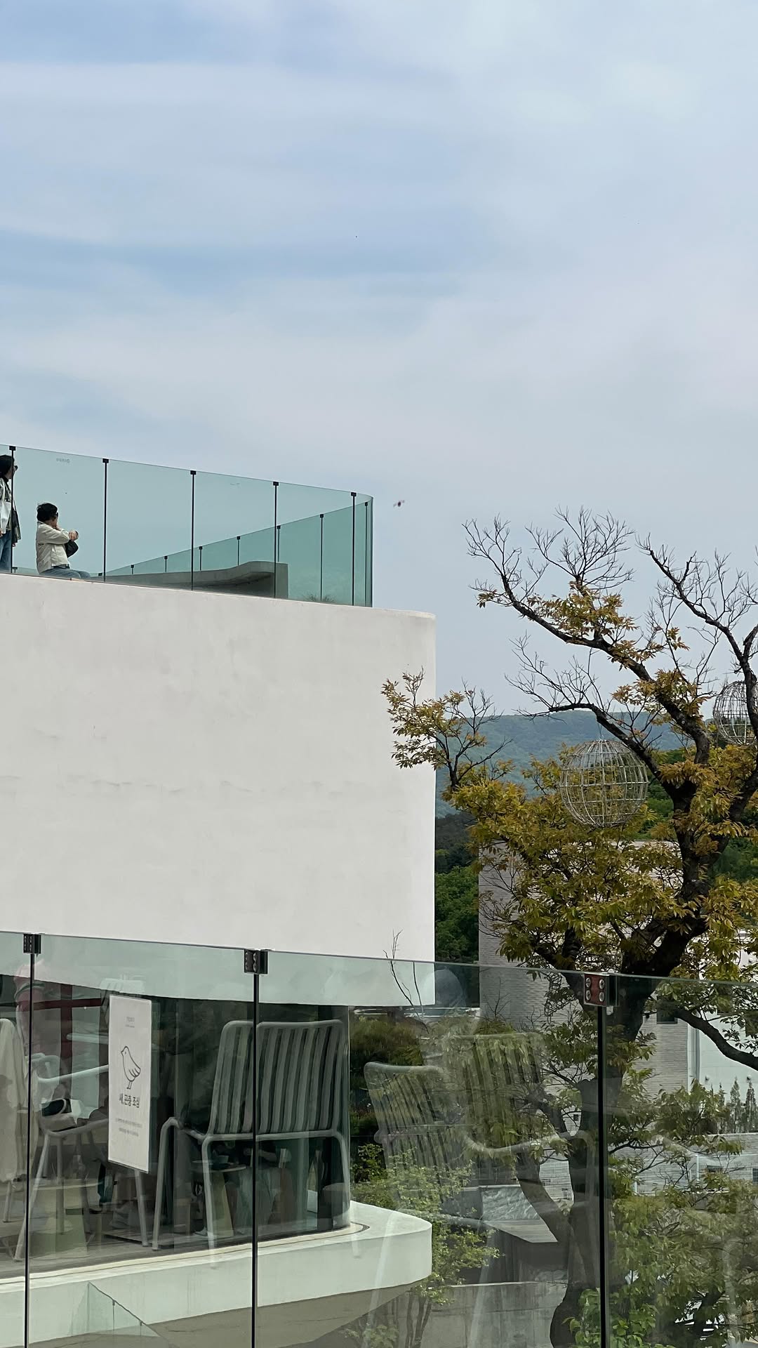 Tranquil Nature Cafe Near Gangnam