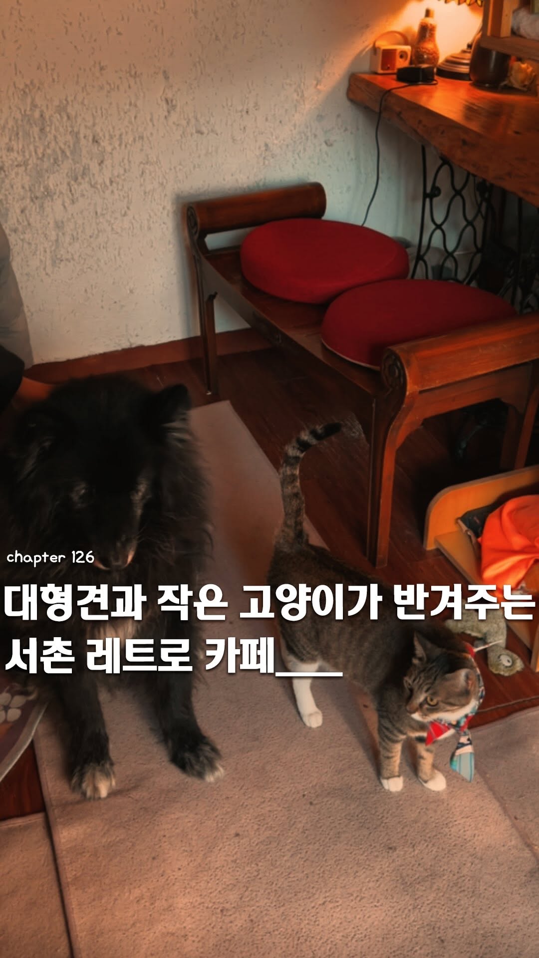 3 Places in Seoul