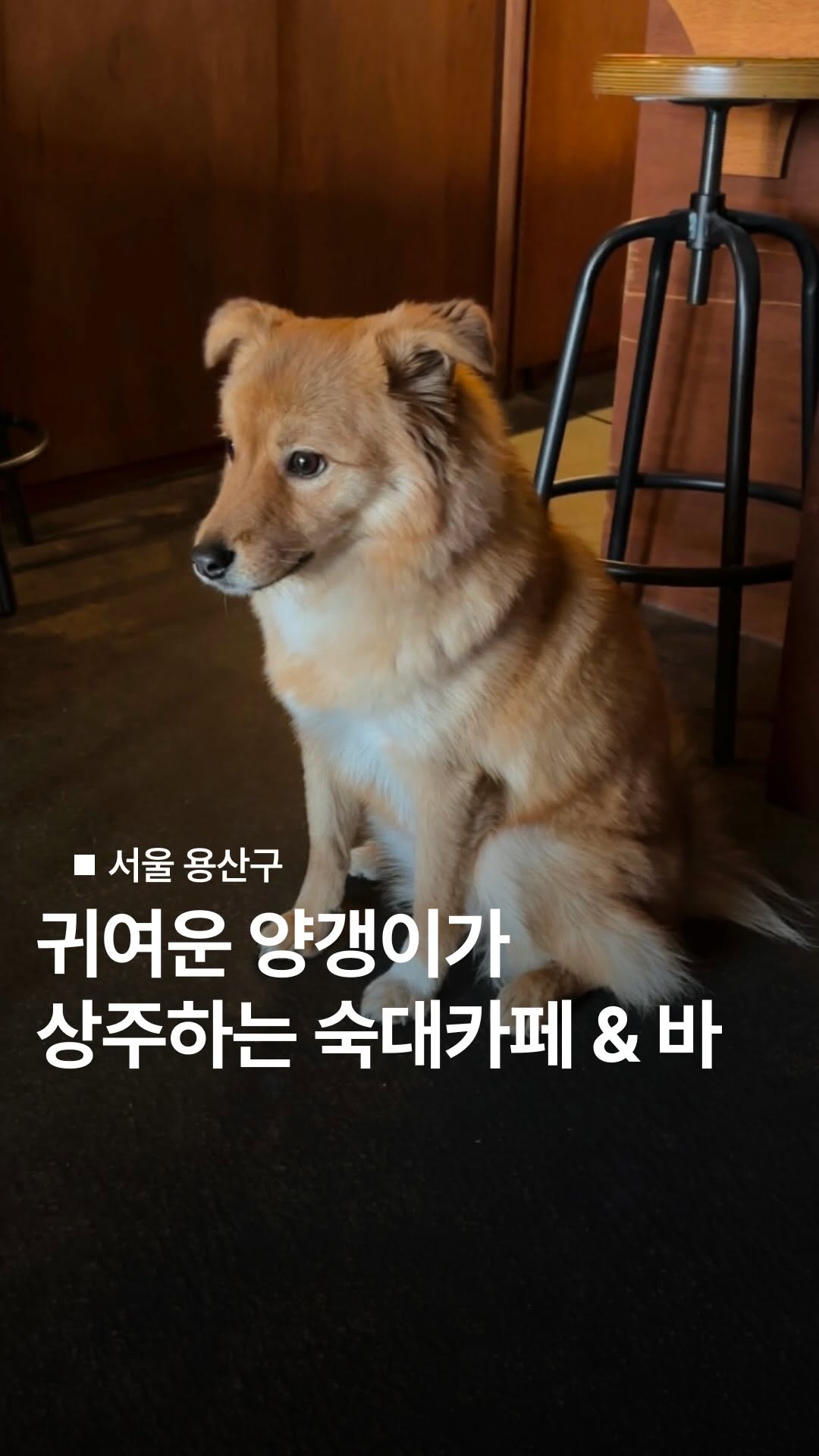 1 Bars in Seoul
