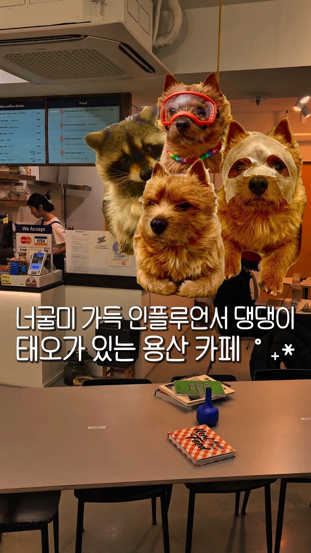 Siempre Como Domingo Offers Doggy Meetups And Cozy Vibes