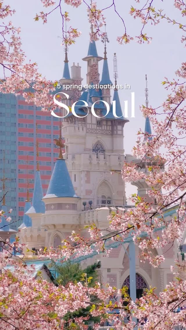 Spring Blossom Spots in Seoul