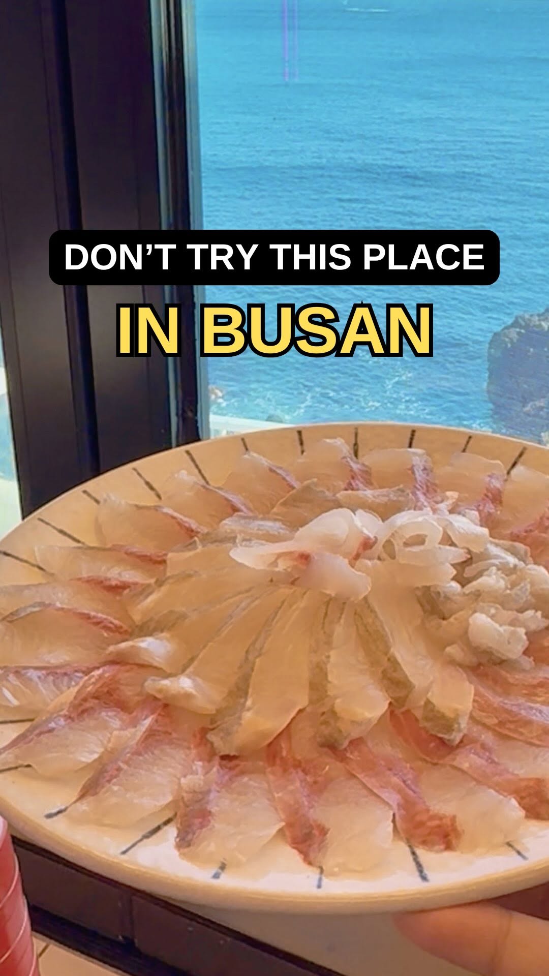 Busan's Ocean Views and Must-Try Grilled Seafood