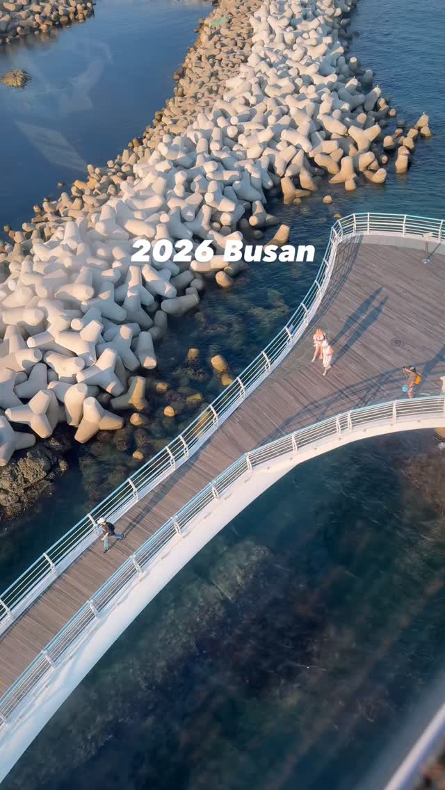 Busan Beaches And Coastal Views