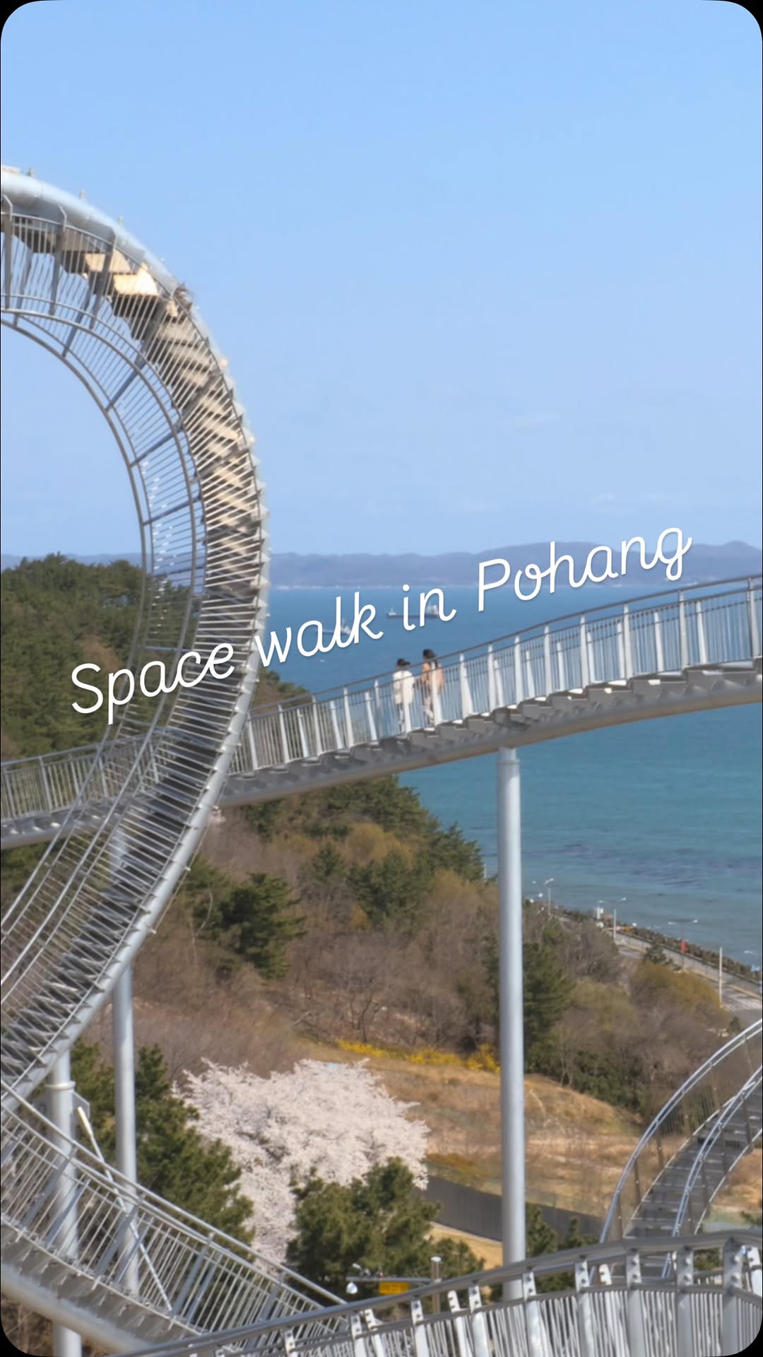 Pohang's Sea-View Space Walk