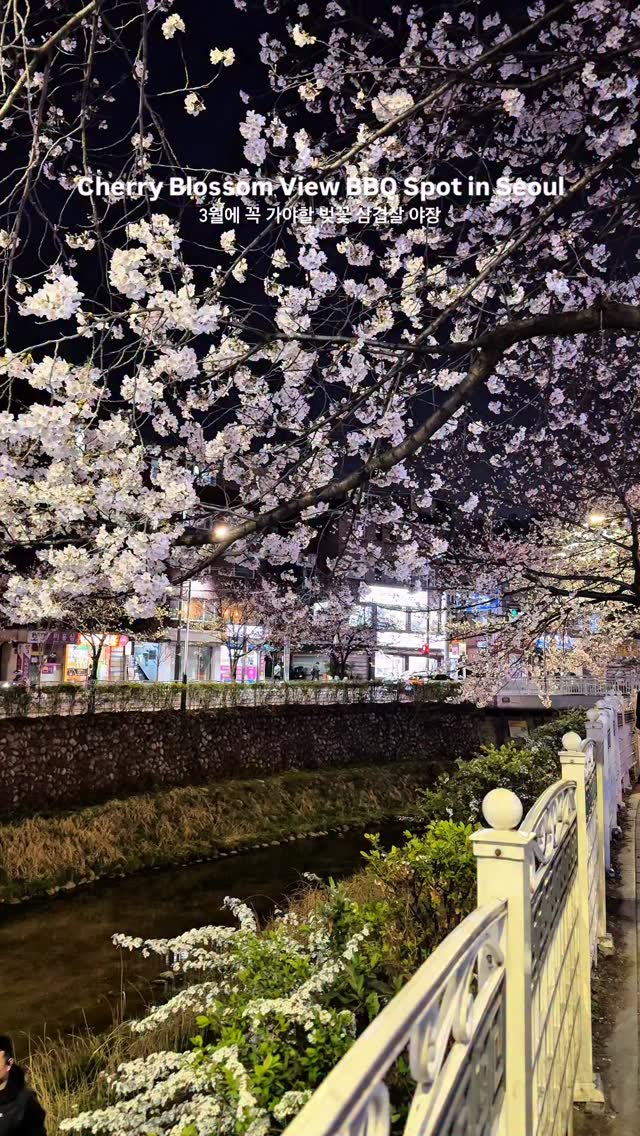 Hansung University Cherry Blossom Dining Spots